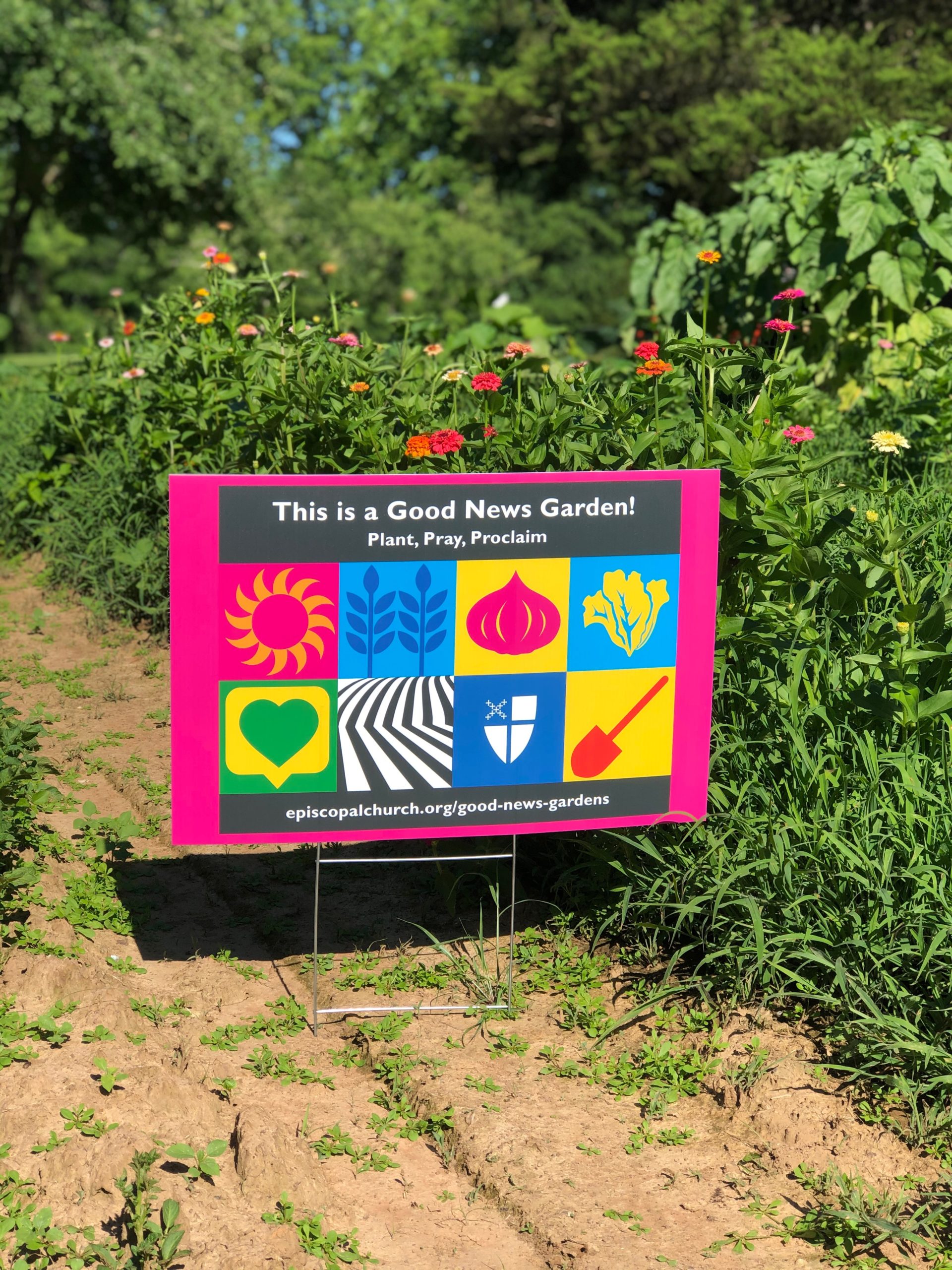 Good News in the Garden